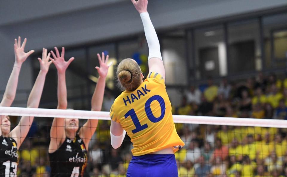 爱游戏体育官网-瑞典队惜败俄罗斯，小组出线勉强