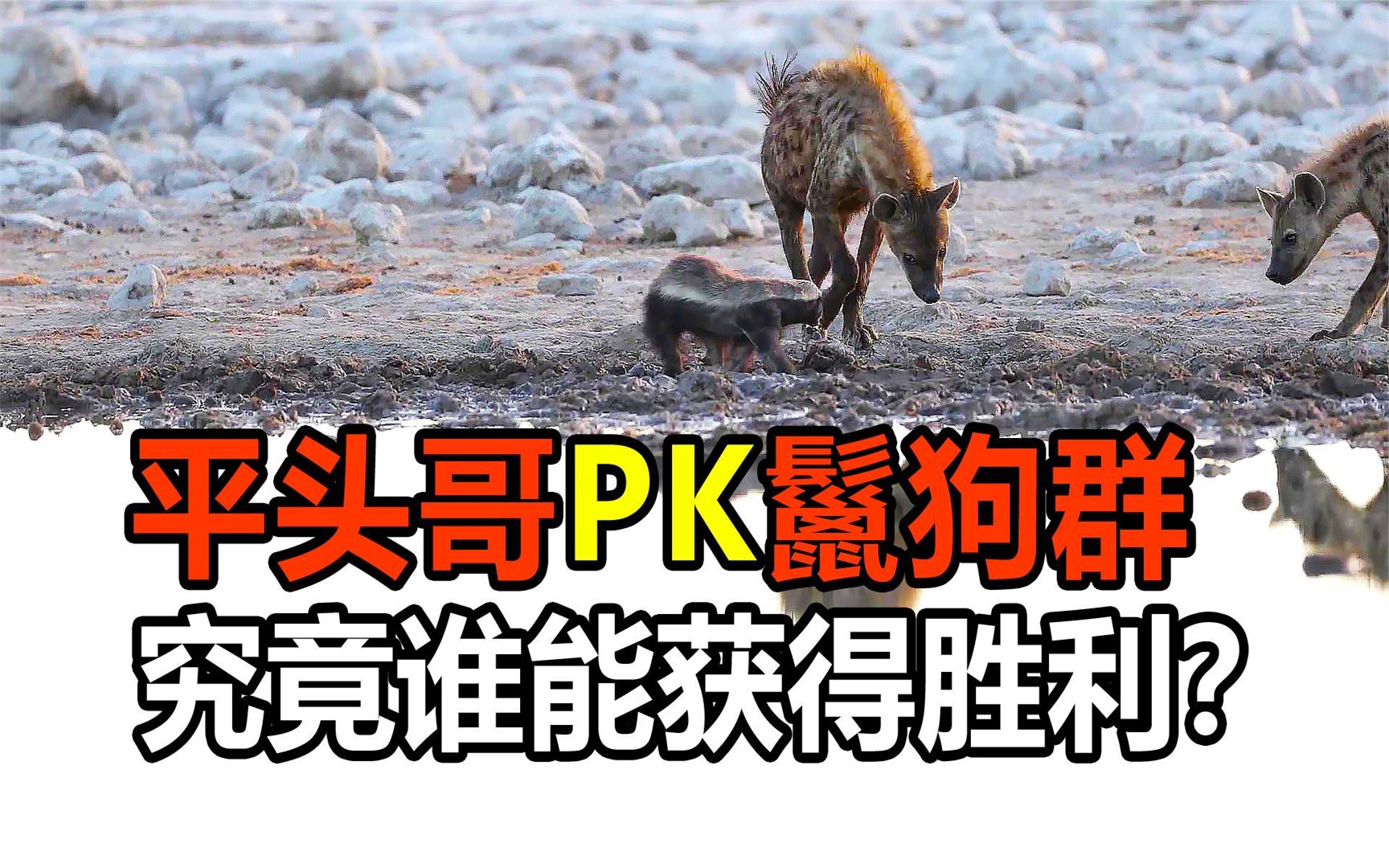 爱游戏网页版登录入口-绝地反击！两队搏杀到底，谁能笑到最后